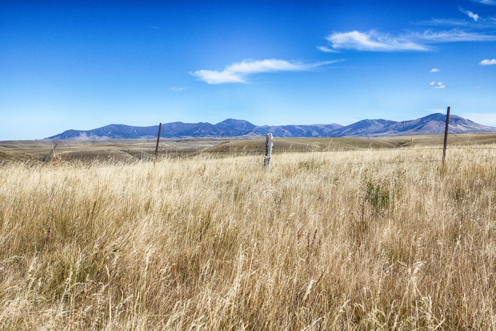 Highwood Mountain View