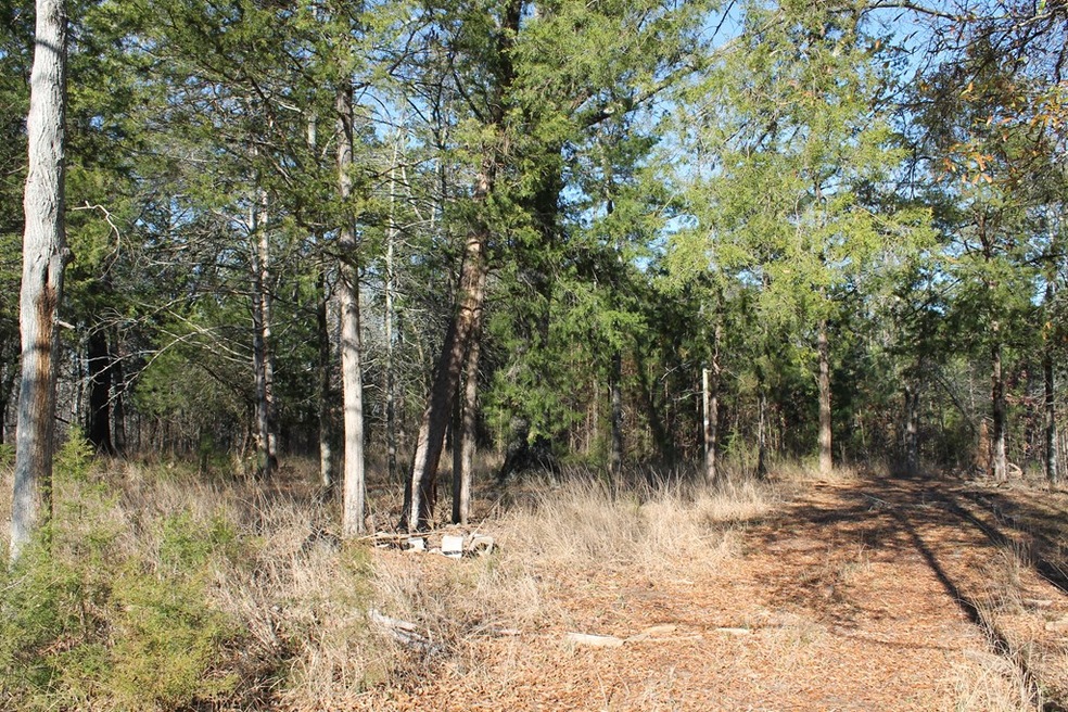 1055 Fleming Lake Ct, Lincolnton, GA 30817 - photo 1