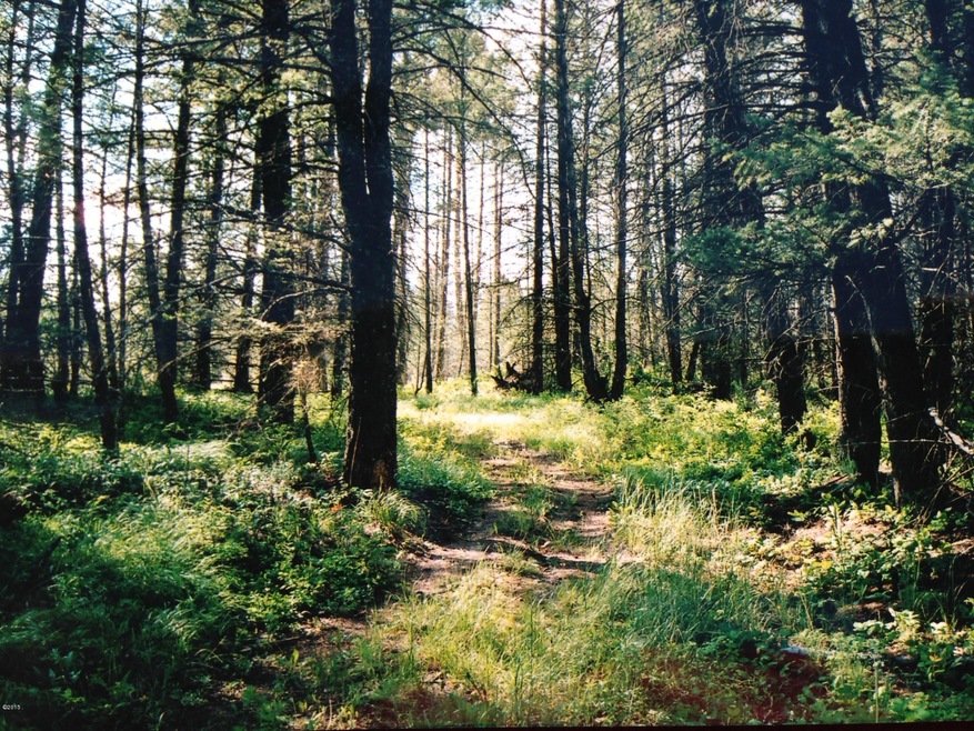 880 Bowdish Rd, Whitefish, MT 59937 - photo 1