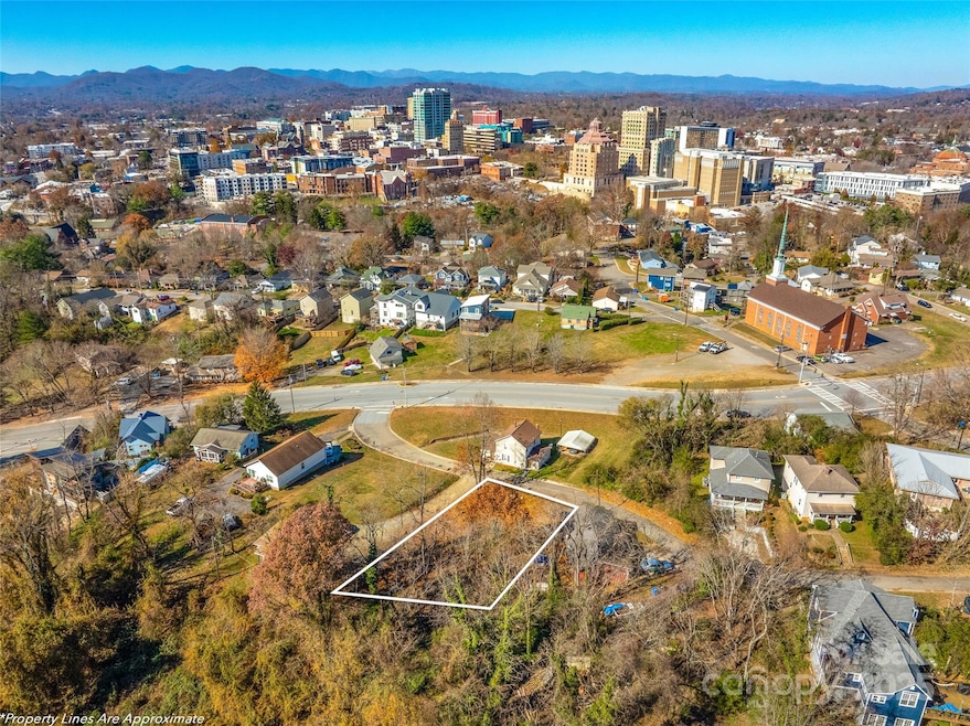 225 S Beaumont St, Asheville, NC 28801 - photo 1