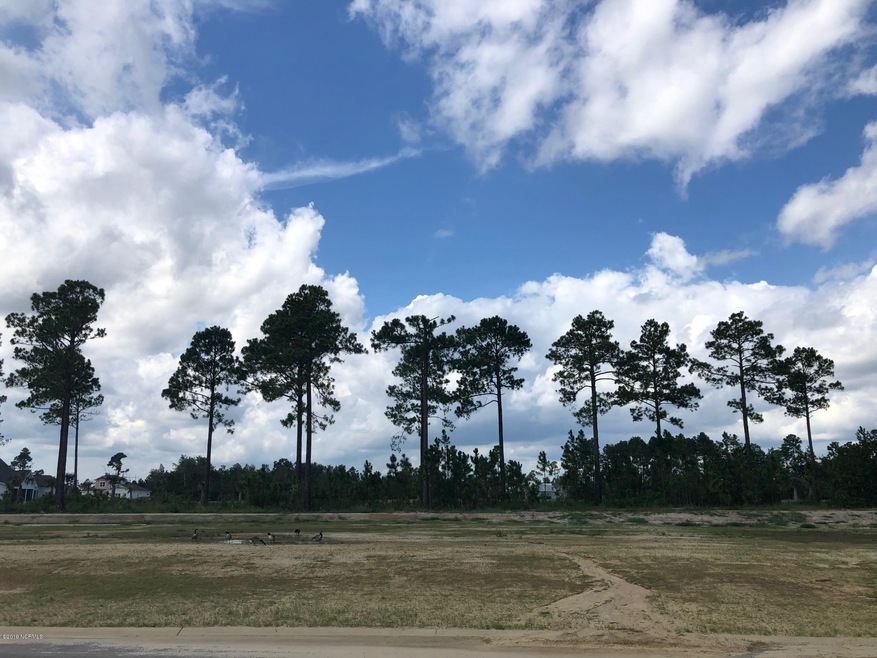 5318 Barcroft Lake Dr, Leland, NC 28451 - photo 1