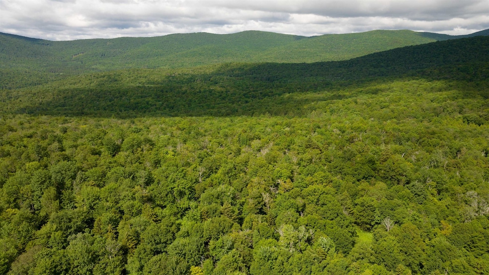 00 Albin Hill Rd, Braintree, VT 05060 - photo 1