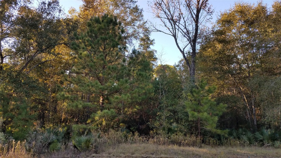 44 Firewood Rd, Huntsville, TX 77340 - photo 1