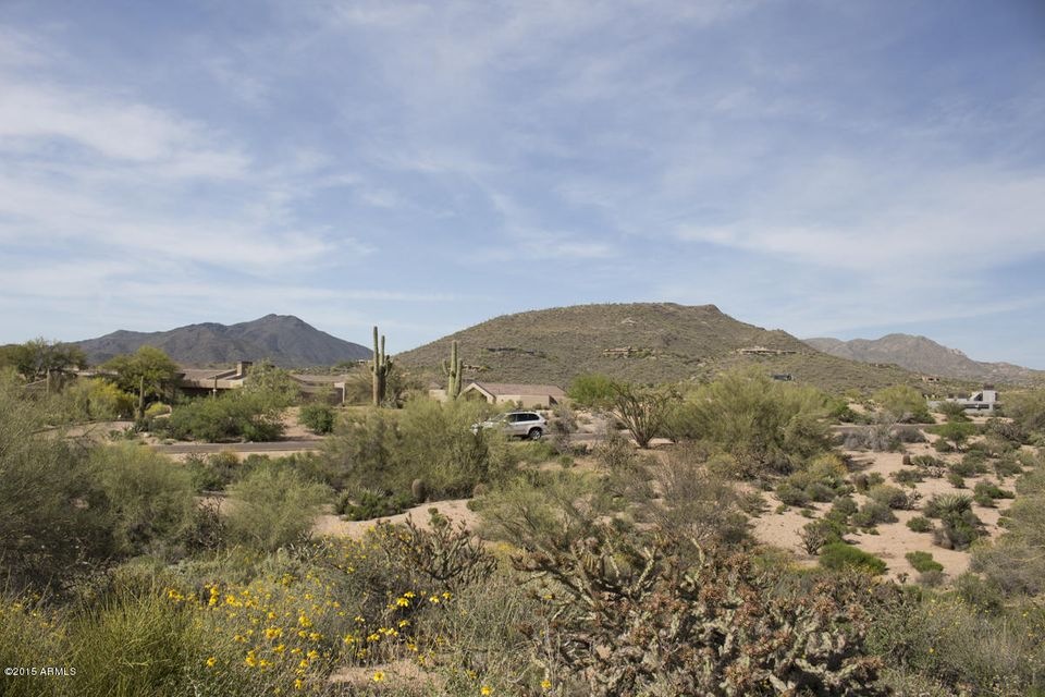 102 Gambel Quail WEB 4.jpg