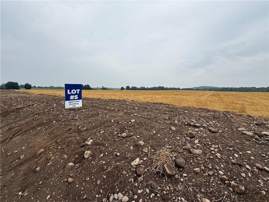 Lot 5 Mile Square Rd, Mendon, NY 14506 - photo 1