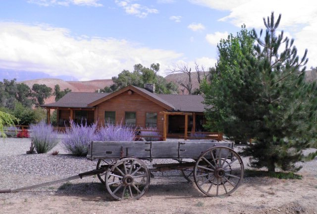 Main View