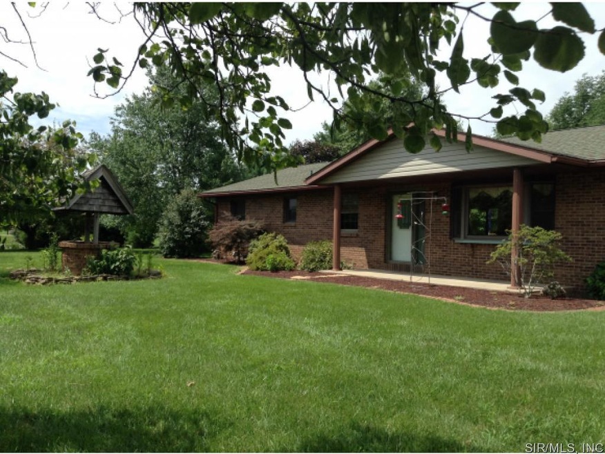 1001 Niebruegge Ln, Freeburg, IL 62243 - photo 1