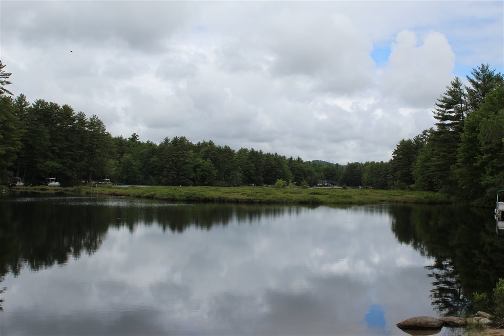 Picture of Belleau Lake view