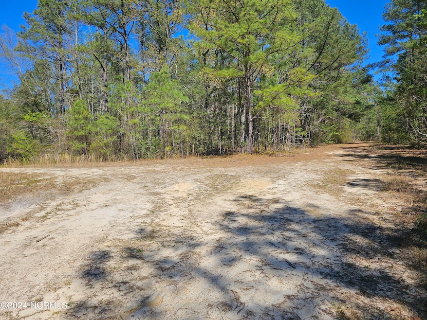 353 Indian Pipe, Vass, NC 28394 - photo 1