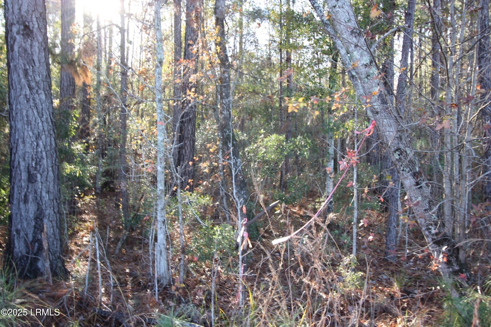 Tbd Hwy N, Varnville, SC 29944 - photo 1