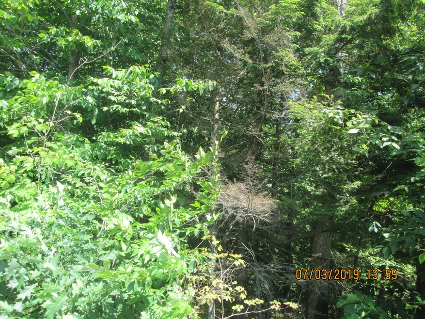 0 Milton Mills Rd unit 1423079, Acton, ME 04001 - photo 1