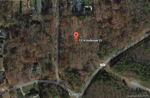 Google Aerial View of lots 1 and 2 Holbrook Court