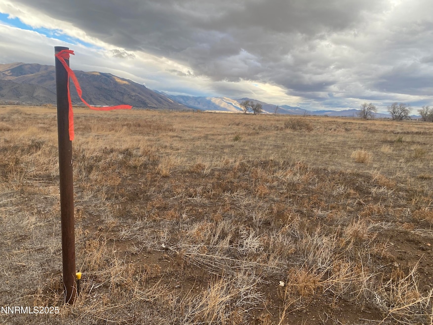 78 Old Ranch Rd, Smith Valley, NV 89430 - photo 1