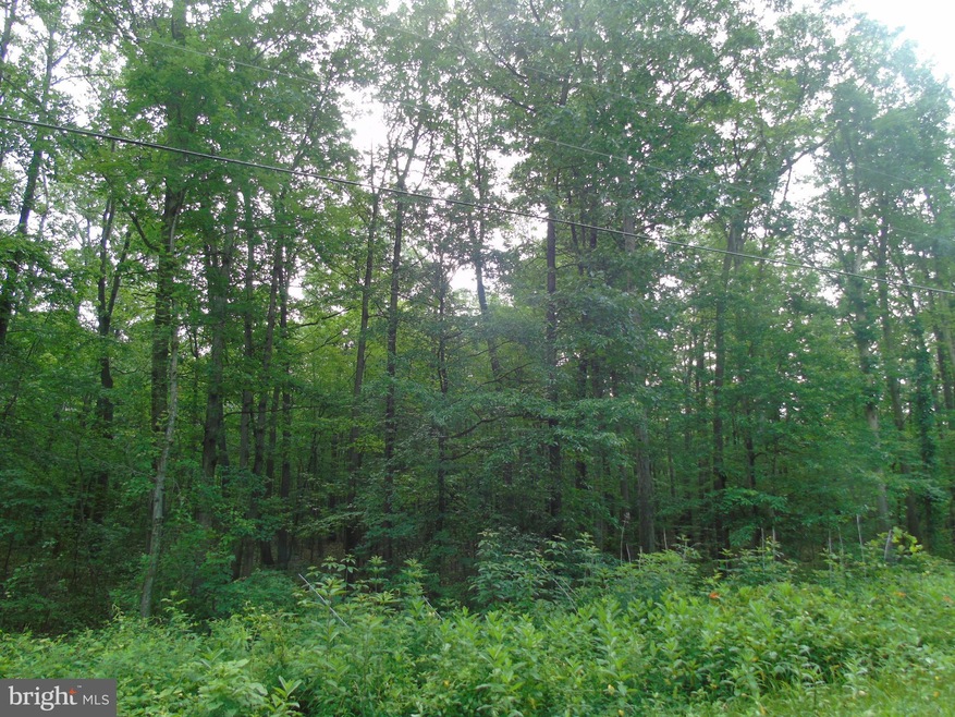 Lot 2 Means Hollow Rd, Shippensburg, PA 17257 - photo 1