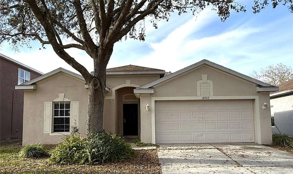 18903 Quarry Badger Rd, Land O Lakes, FL 34638 - photo 1