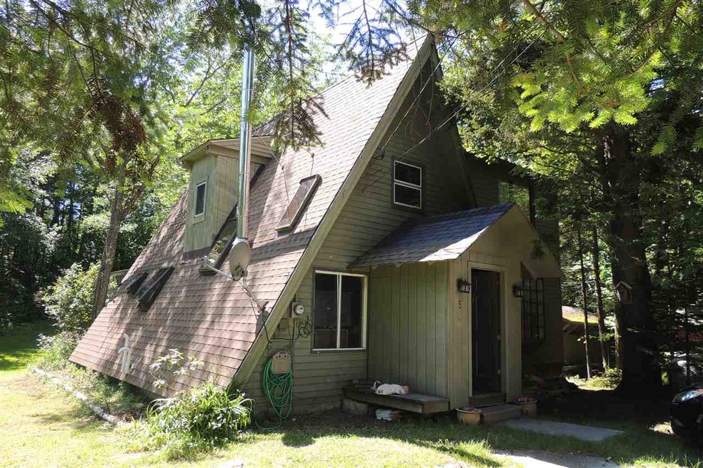 5 Chipmunk Ln, West Dover, VT 05356 - photo 1