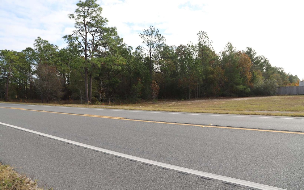 7049 State Road 21, Keystone Heights, FL 32656 - photo 1