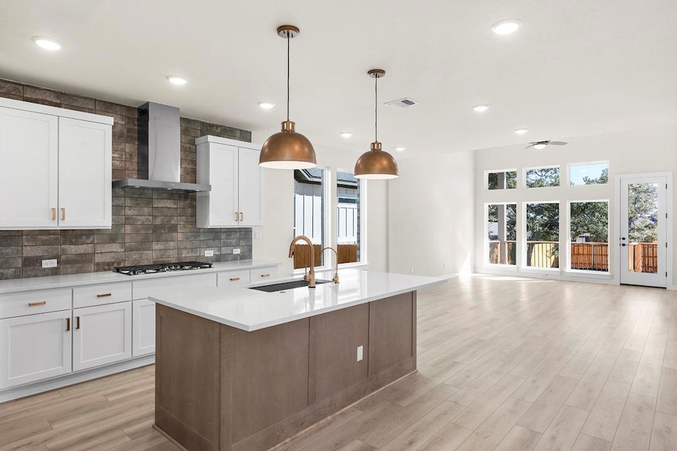 1174 Roger Hanks Pkwy, Dripping Springs, TX 78620 - photo 1