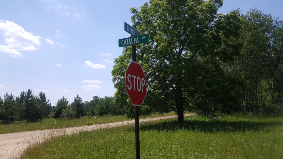 v/L W 17 Mile Rd, Lilley Township, MI 49309 - photo 1