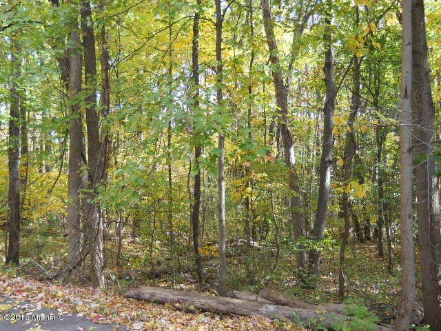 DSCN1166[1]