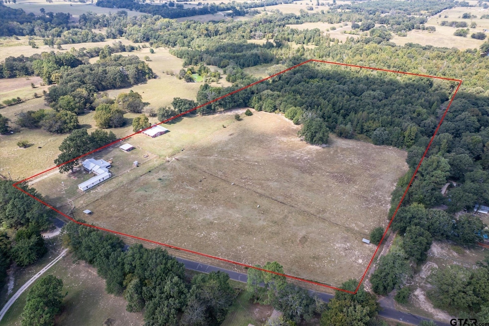 1393 County Road 4940, Quitman, TX 75783 - photo 1