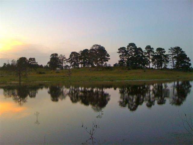 View of Homesite Overlooking Pond