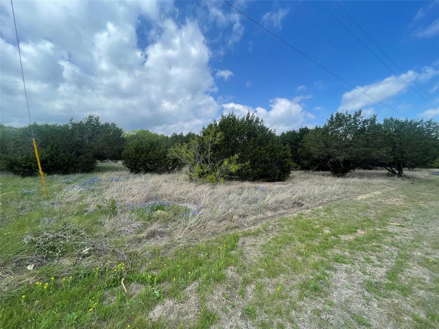 36033 Cedar Ridge Dr, Whitney, TX 76692 - photo 1