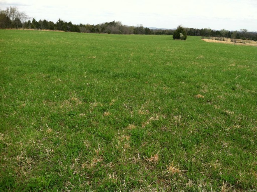 3001 Highway H, Farmington, MO 63640 - photo 1