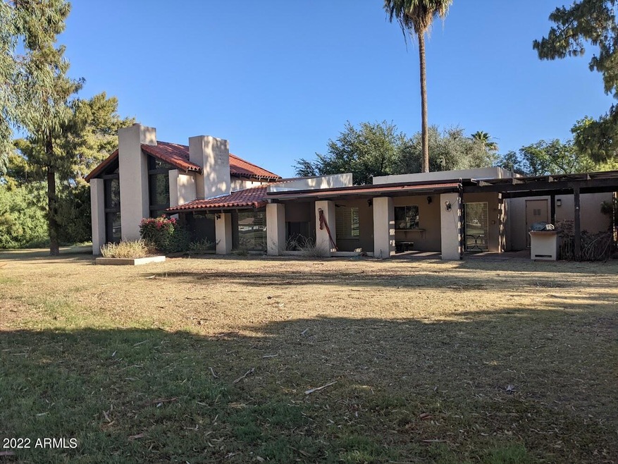 back yard