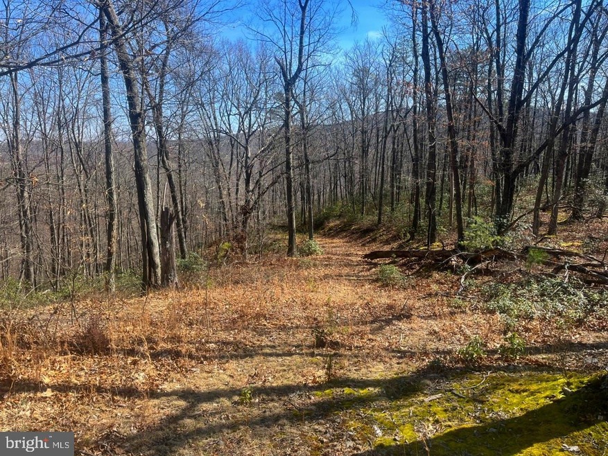 0 Tract 10 Lost River Bluffs unit WVHD2001350, Mathias, WV 26812 - photo 1