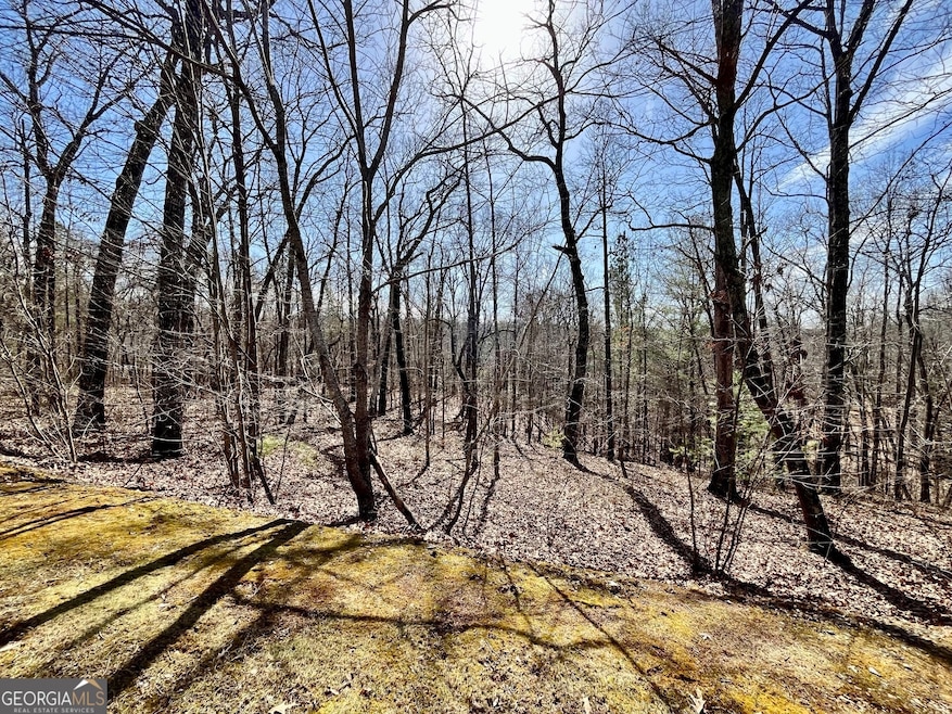 LT 129 Harris Creek Dr, Ellijay, GA 30540 - photo 1