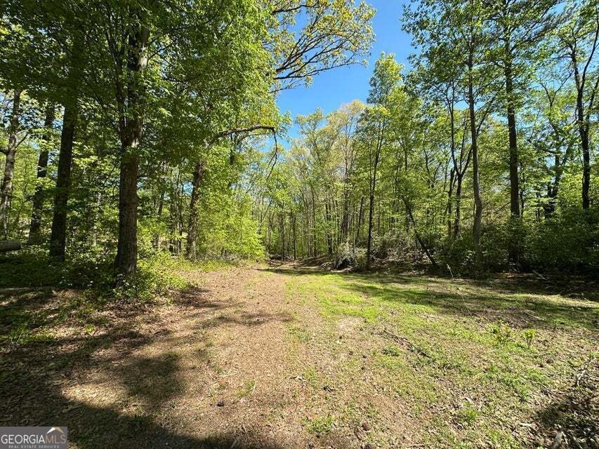 841 Bradley Ave, Lafayette, GA 30728 - photo 1