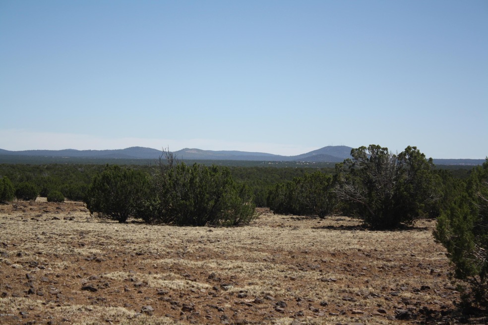 Top of Hill
