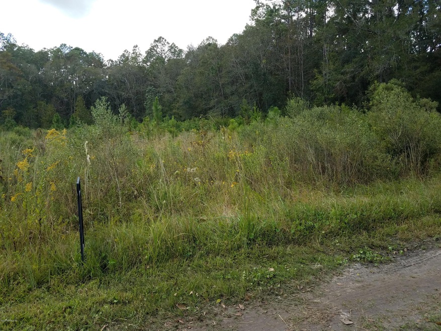 0 Spring Dr unit 905141, Middleburg, FL 32068 - photo 1