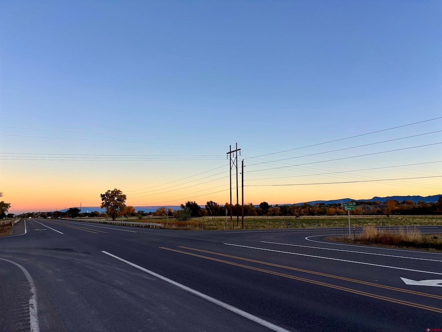 TBD Highway 550, Montrose, CO 81403 - photo 1