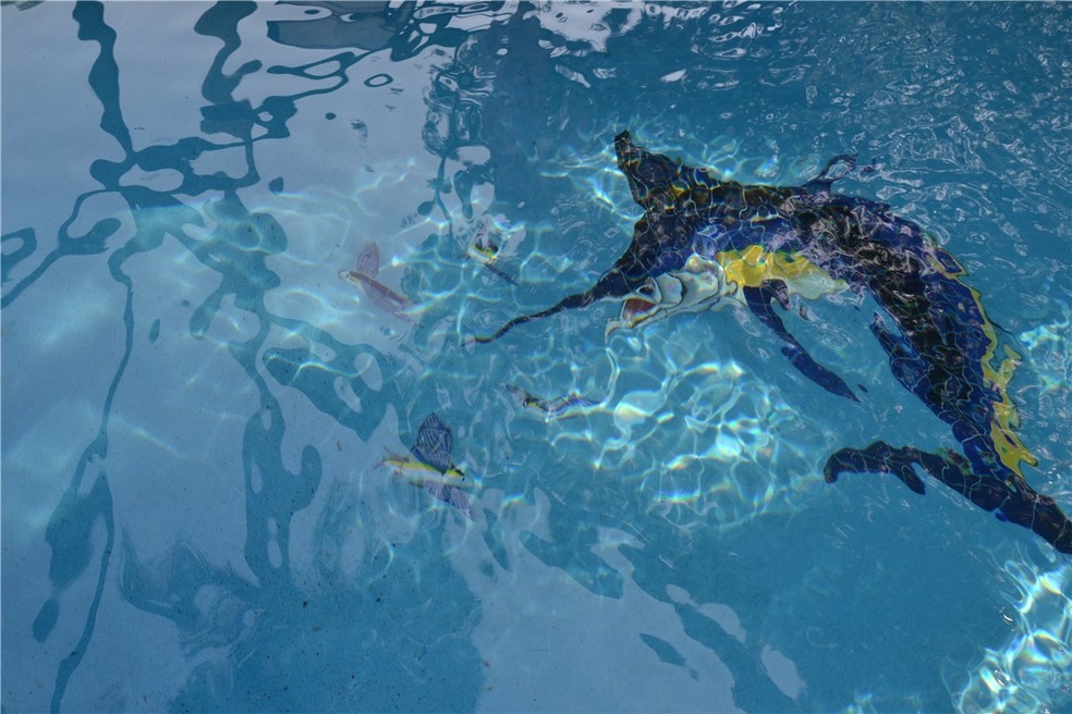 Sold $633,950 • Co-Listing Agent