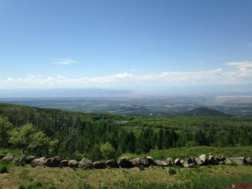 25889 Highway 65, Cedaredge, CO 81413 - photo 1