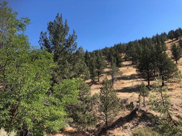 Sold $120,000 • Co-Listing Agent