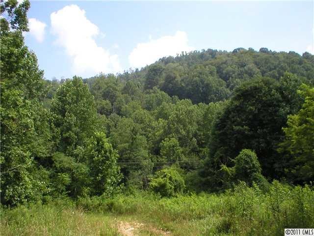 unlisted-address, Burnsville, NC 28714 - photo 1