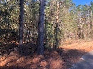 TBD Wolf's Thick Rd, Cordele, GA 31015 - photo 1