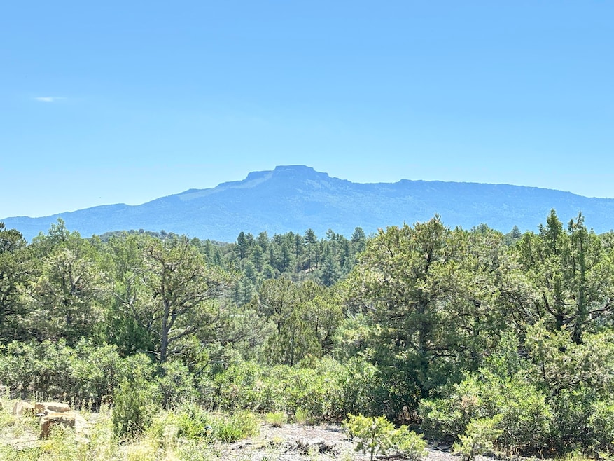 LR view of peak