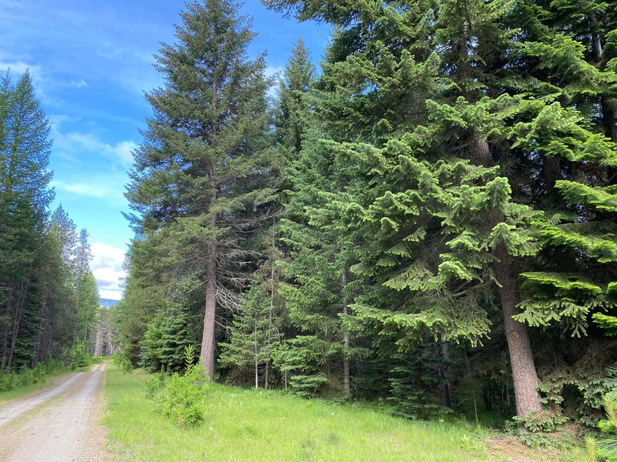 139 Graham Grove Ln, Trout Creek, MT 59874 - photo 1