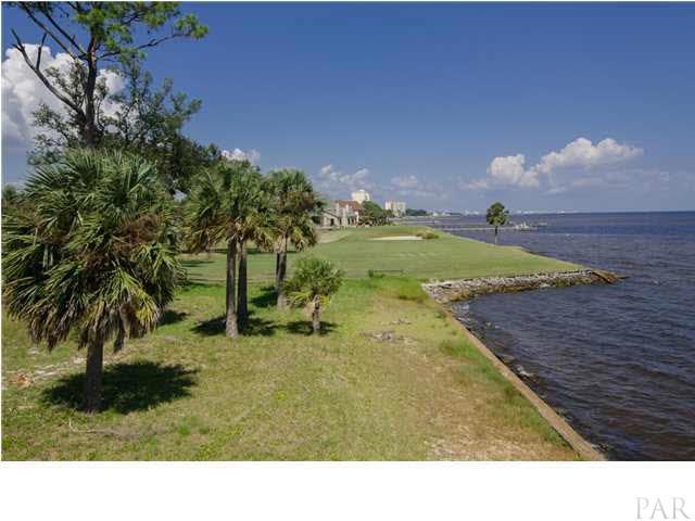 The shoreline at 38 Star Lake Dr
