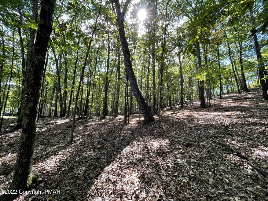 0 Lot 151 Chipmunk Rd unit PM-100594, Bushkill, PA 18324 - photo 1
