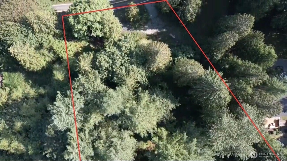 4703 Ames Lake Carnation Rd NE, Redmond, WA 98053 - photo 1