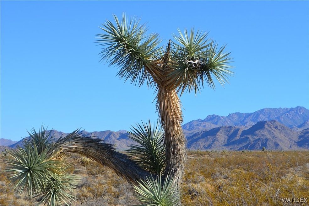 C5 Duquesne Rd, Yucca, AZ 86438 - photo 1