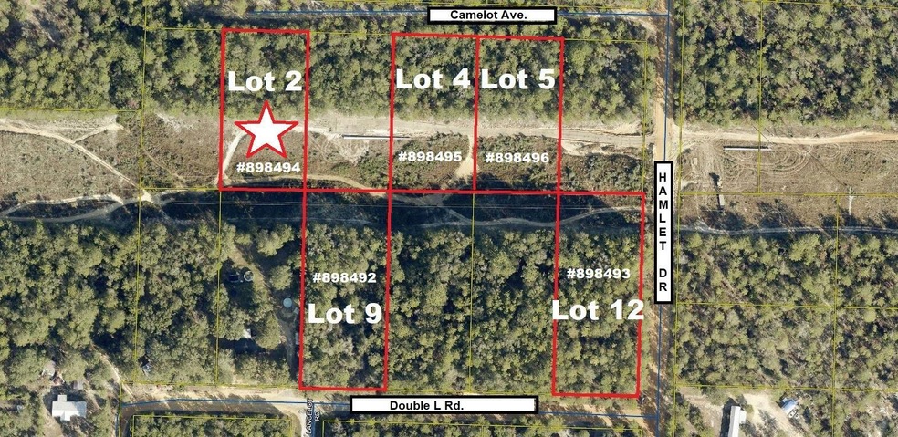 Lot 2 Camelot (1)