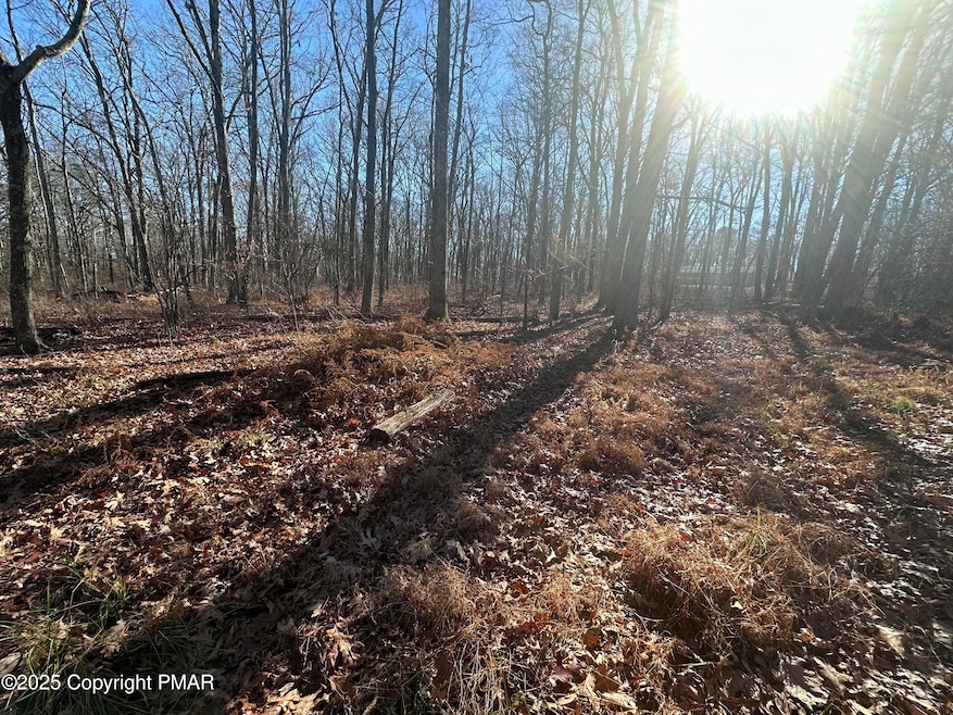 Lot 55 Tuscarora Ct, Beach Lake, PA 18405 - photo 1