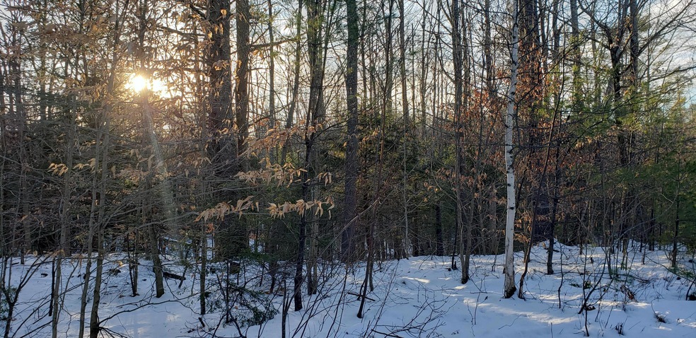 Lot 7 Mountain Rd, South Berwick, ME 03908 - photo 1