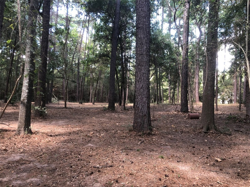 14 Pelican St, Magnolia, TX 77355 - photo 1